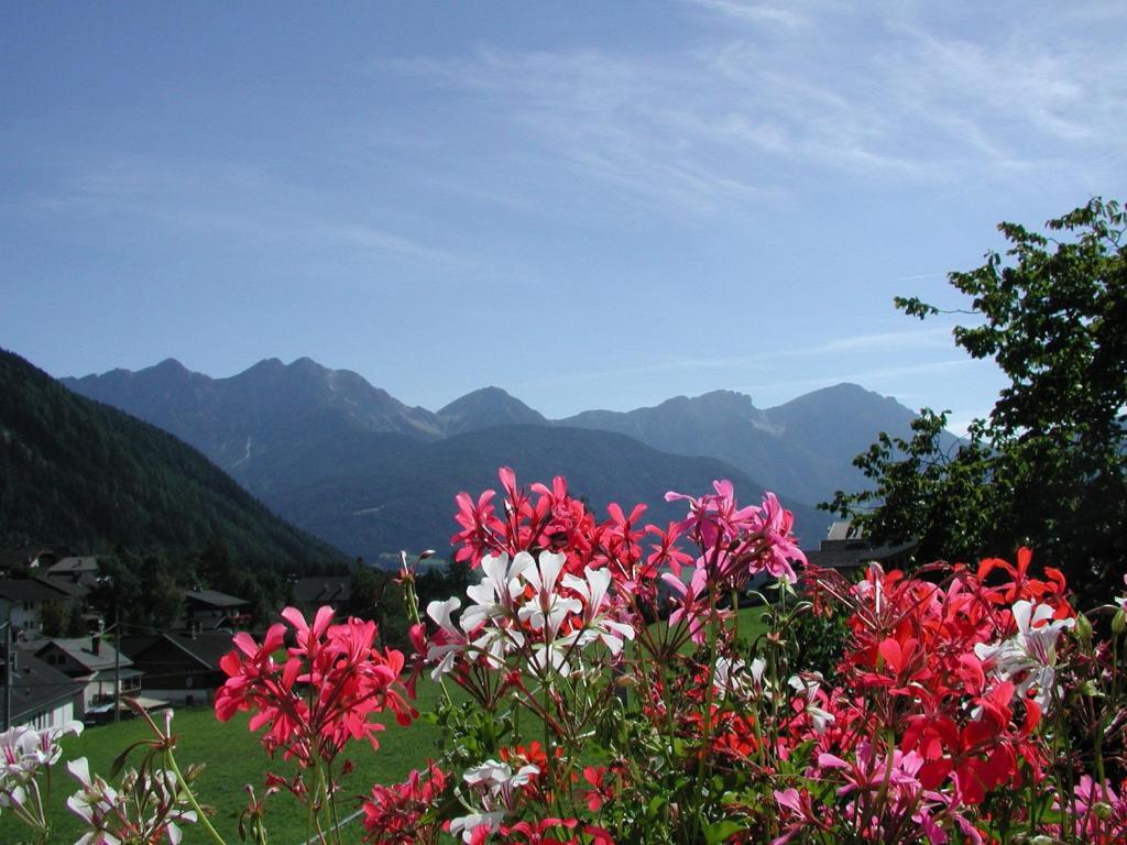 Gasthof Lechner Rasun di Sopra Room photo